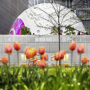 #122 —  Netherlands Embassy